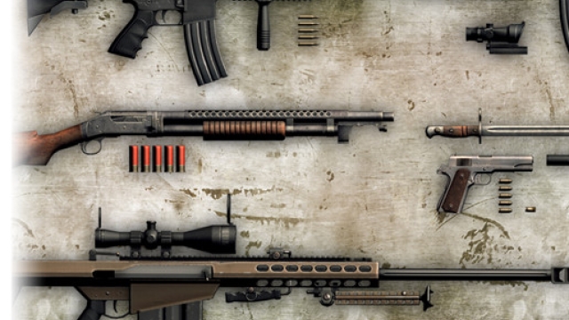 Locked and Loaded: Exploring the Complexities of Firearms