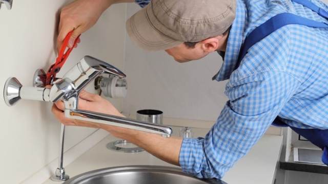 Drips, Drains, and Disasters: Unraveling the World of Plumbing