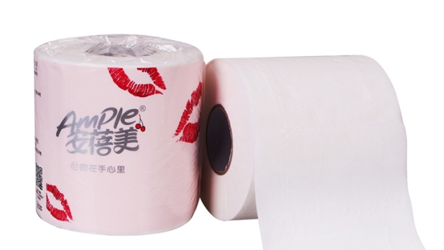 The Making of the Essential: Insights into Toilet Paper Manufacturing