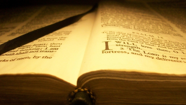 Diving into Divine Words: Unveiling the Hidden Gems of Bible Study