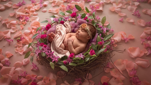 Cradled Perfection: Capturing the Beauty of Newborn Photography