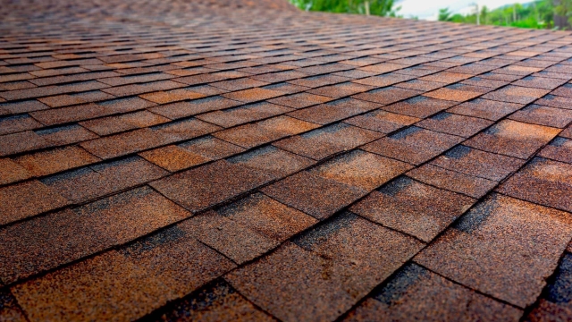 Raising the Roof: A Guide to Choosing the Perfect Roofing for Your Home