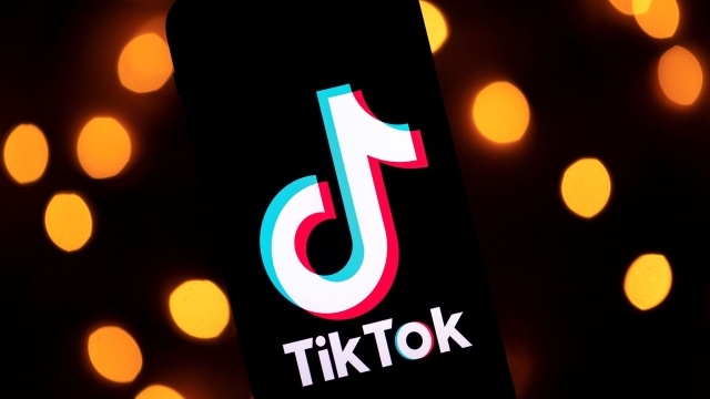 Unleashing Creativity: TikTok Trends to Watch