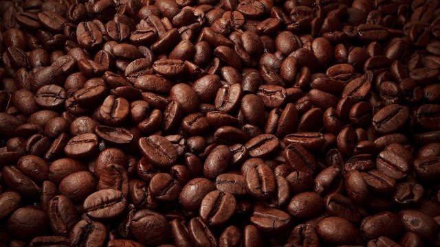 From Bean to Brew: The Art of Roasting and Grinding Your Perfect Coffee