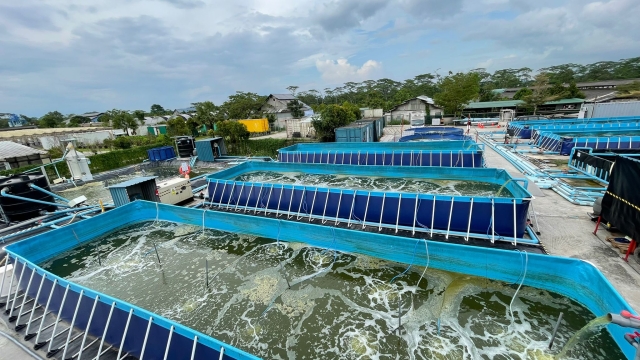 Revolutionizing Our Waters: The Future of Aquaculture Technology