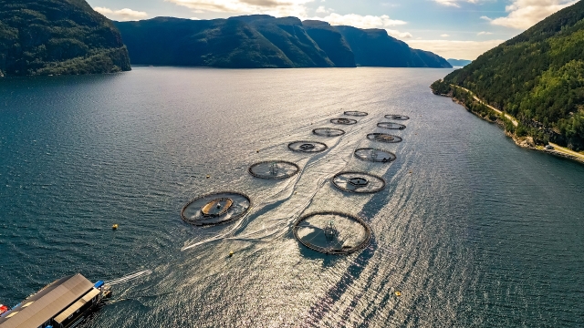 Revolutionizing the Waters: The Future of Aquaculture Technology