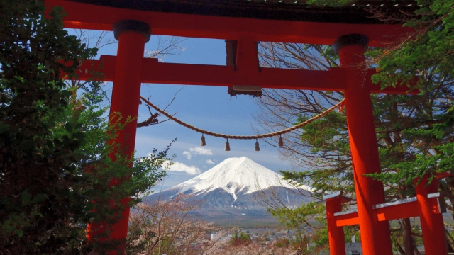 Whispers of the Ancients: Exploring the Enchantment of Japan’s Shinto Shrines