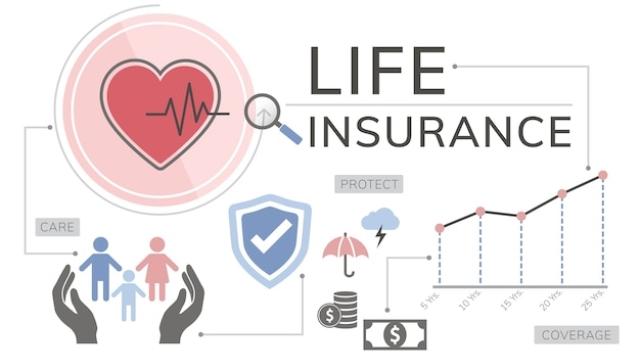 Insuring Your Peace of Mind: Unveiling the World of Insurance Agencies